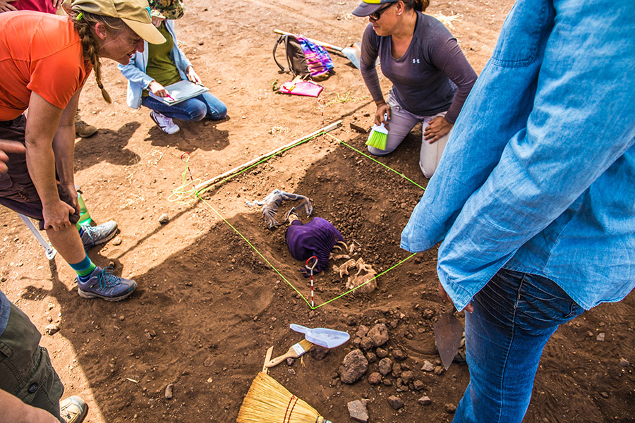 forensics field work