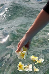 Flowers being scattered in the ocean